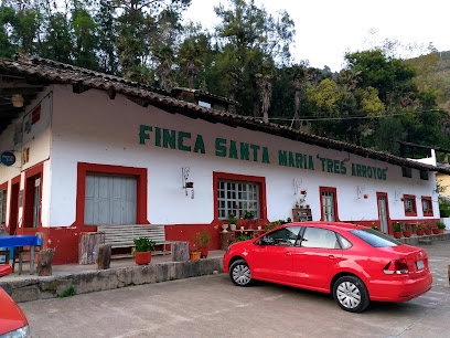 Finca Santa Maria 3 Arroyos - País, Apulco, 73688 Zacapoaxtla, Pue., Mexico