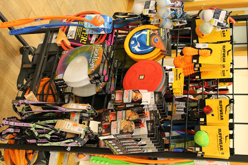 Ski Shop «Appalachian Outdoors», reviews and photos, 123 S Allen St, State College, PA 16801, USA