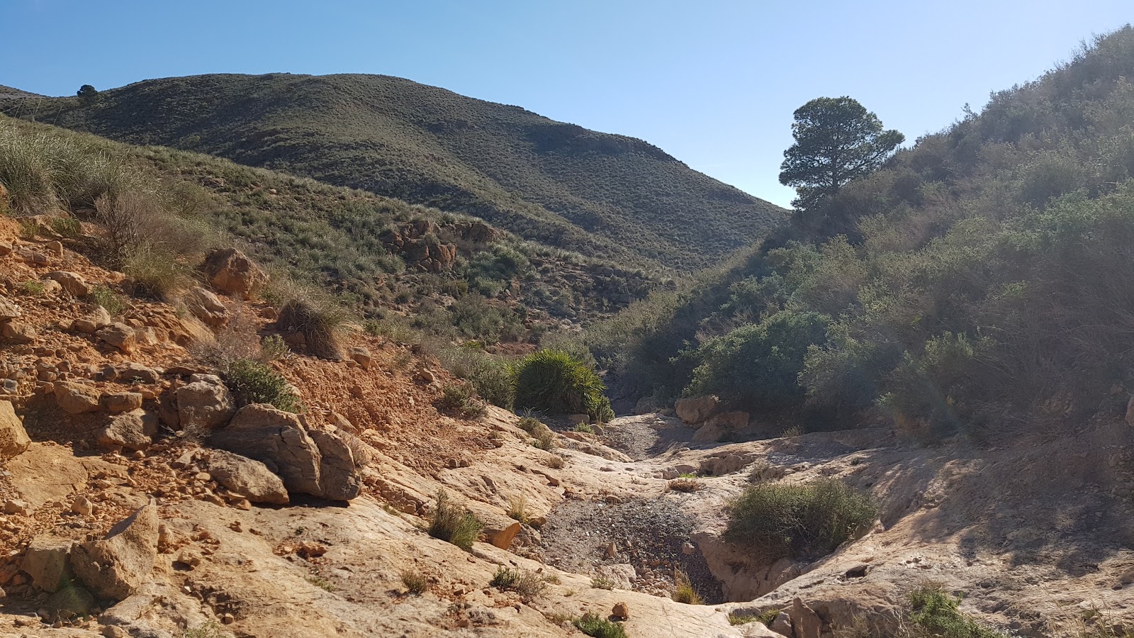 Cala Del Bolete Grande'in fotoğrafı çok temiz temizlik seviyesi ile