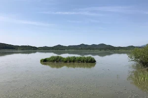 Upo Wetlands image