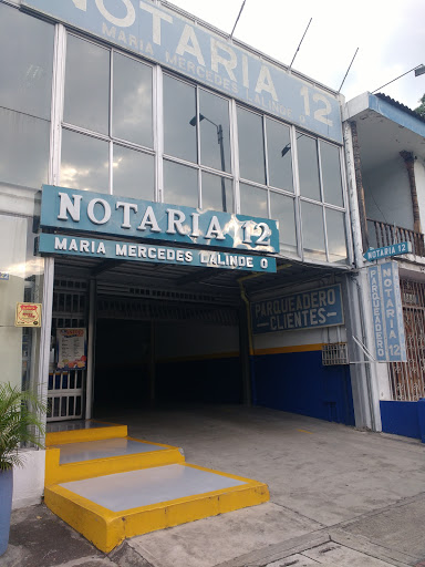 Notaria 12