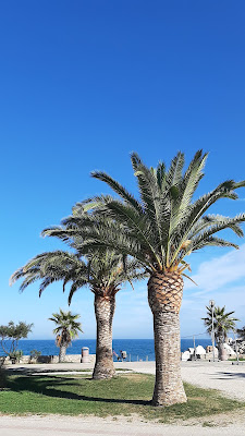 Promenade du Front de Mer à Argelès-sur-Mer