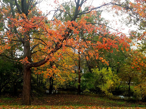 Public Golf Course «Glenhurst Golf Course», reviews and photos, 25345 W 6 Mile Rd, Redford Charter Twp, MI 48240, USA