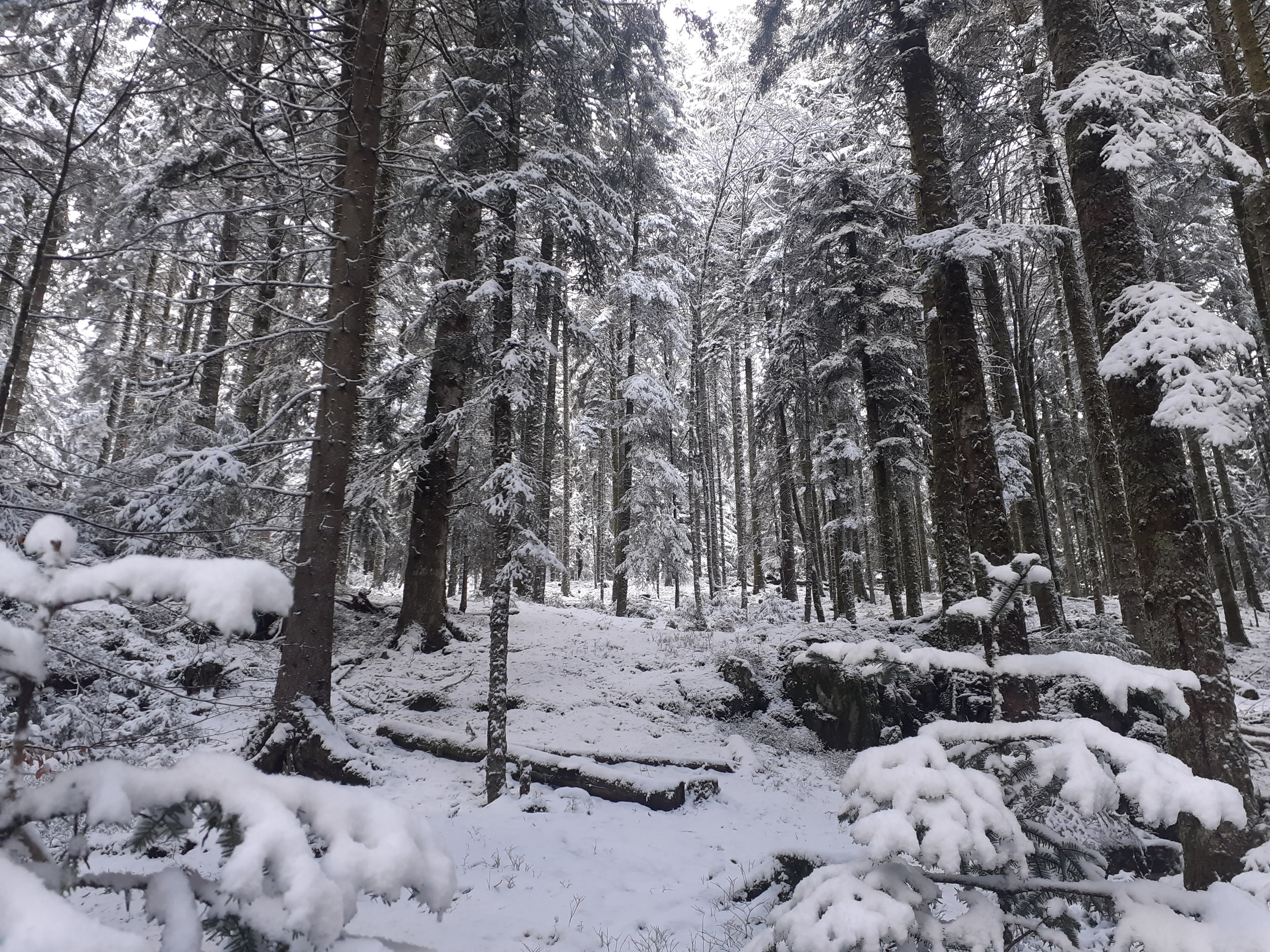 Photo n° 2 de l'avis de Daniele.e fait le 17/01/2021 à 11:38
