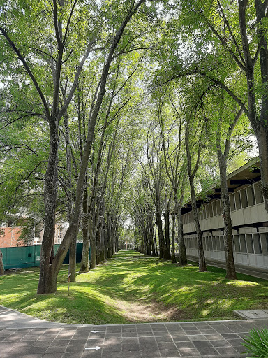 Instituto Tecnológico y de Estudios Superiores de Occidente (ITESO)