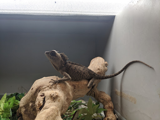 Reptile Store «La Habra Pets», reviews and photos, 1919 W La Habra Blvd, La Habra, CA 90631, USA