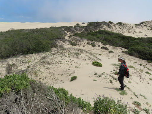 Oceano Dunes Non Vehicle Area