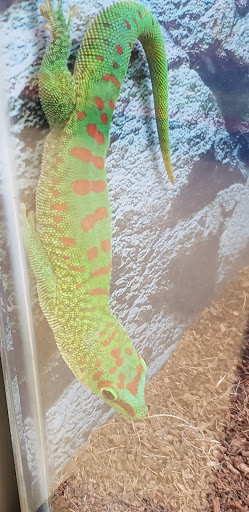 Pet Supply Store «Petco Animal Supplies», reviews and photos, 2575 Fairview Ave N, Roseville, MN 55113, USA