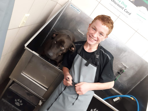 Pet Supply Store «Pet Supplies Plus», reviews and photos, 9848 Brewster Ln, Powell, OH 43065, USA