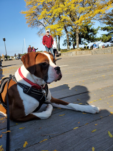 Park «Waterfront Promenade Park», reviews and photos, 22 Merrimac St, Newburyport, MA 01950, USA