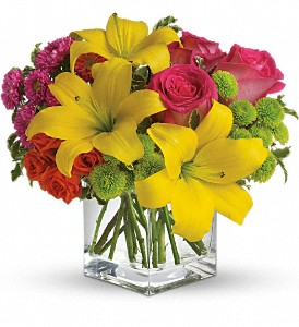 Florist «Xpressions Florist», reviews and photos, 14373 Blanco Rd, San Antonio, TX 78216, USA