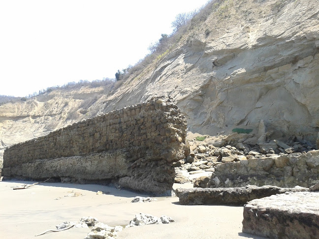 Punta De La Bellaca - Servicio de transporte