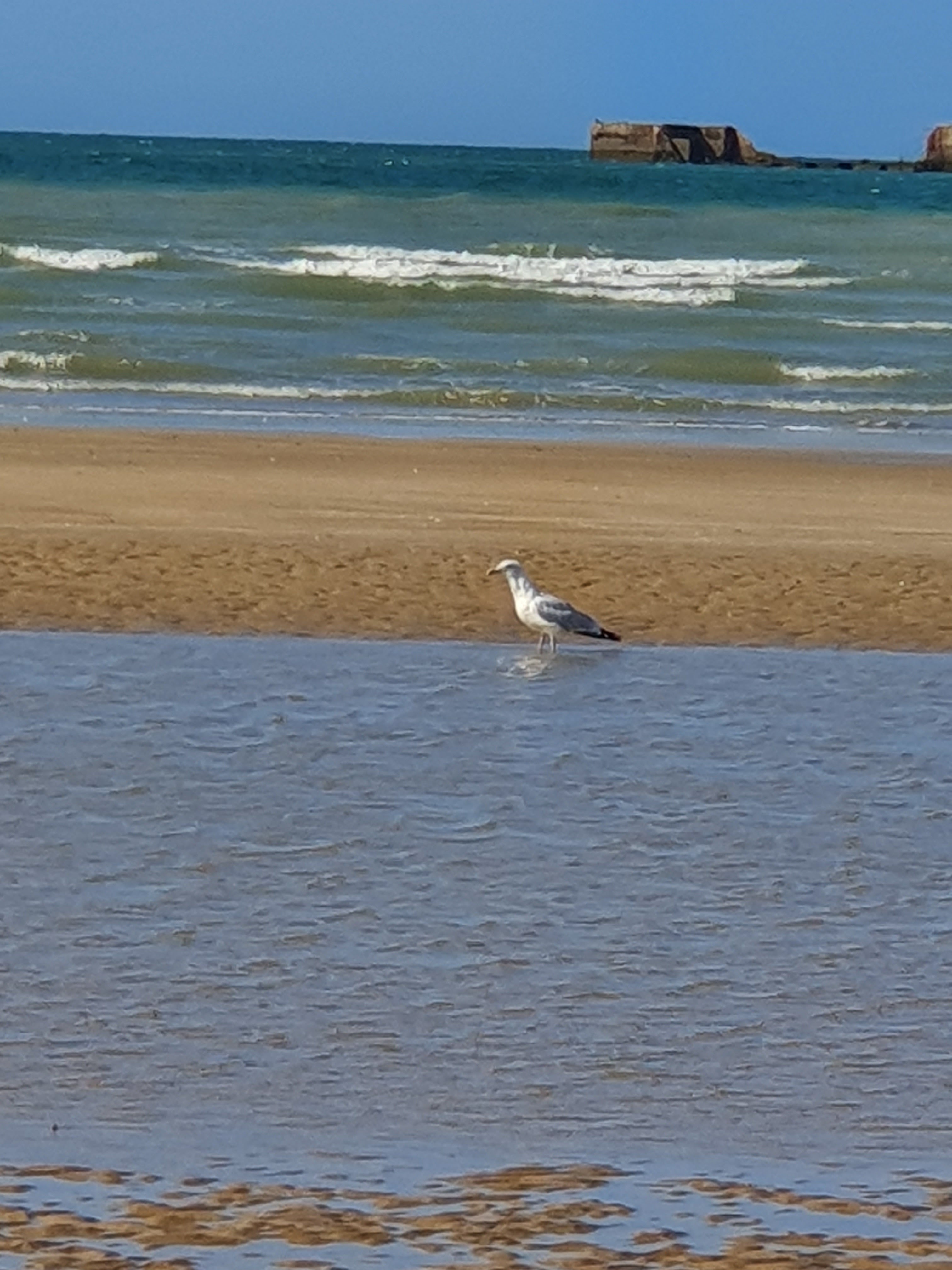 Photo n° 2 de l'avis de Dgg.. fait le 20/08/2019 à 17:00