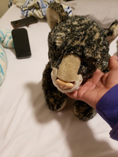 Thrift Store «Goodwill - McColl (Edinburg)», reviews and photos