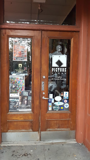 The Picture Store