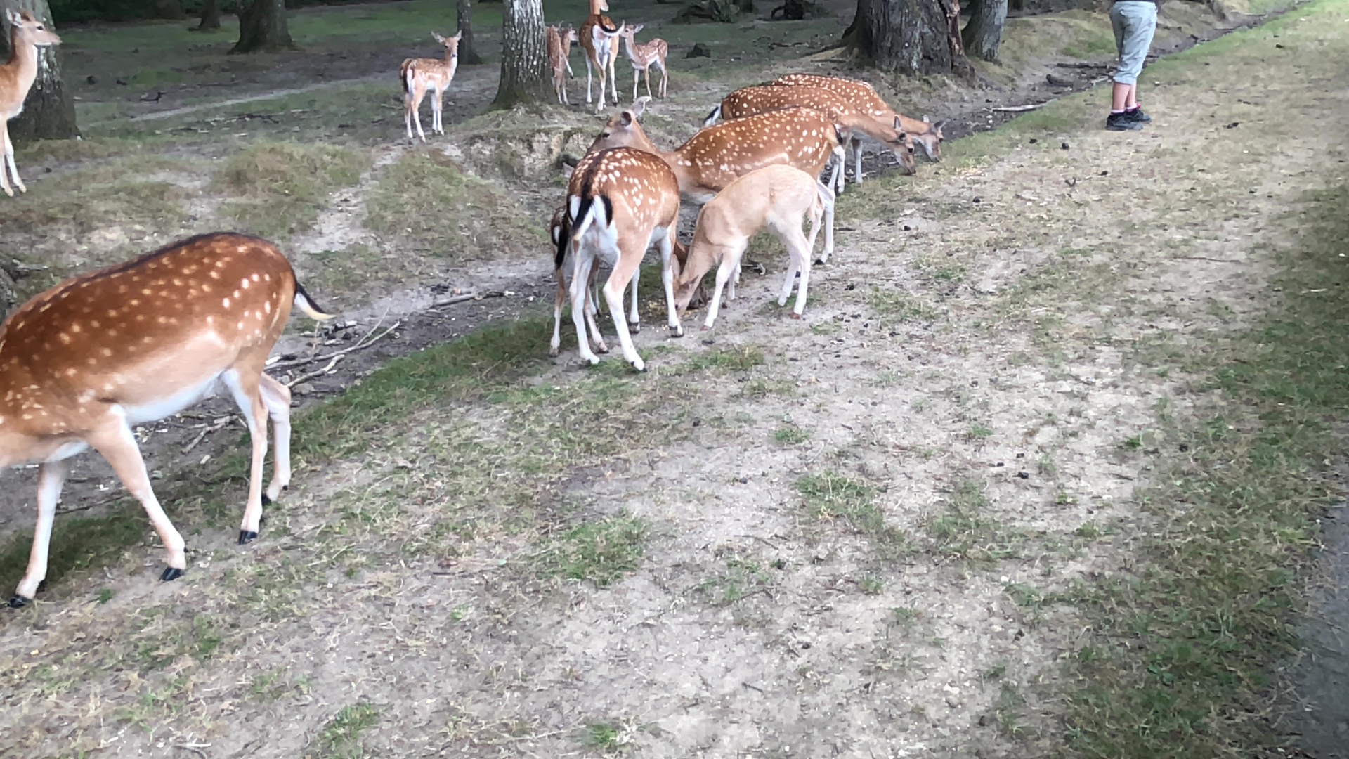 Photo n° 29 de l'avis de Julien.o fait le 27/07/2018 à 17:41