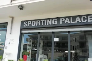 Sporting Palace image