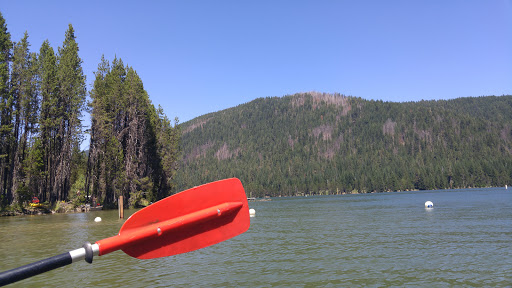 National Forest «Umpqua National Forest», reviews and photos, 1121 Houser Ct, Idleyld Park, OR 97447, USA