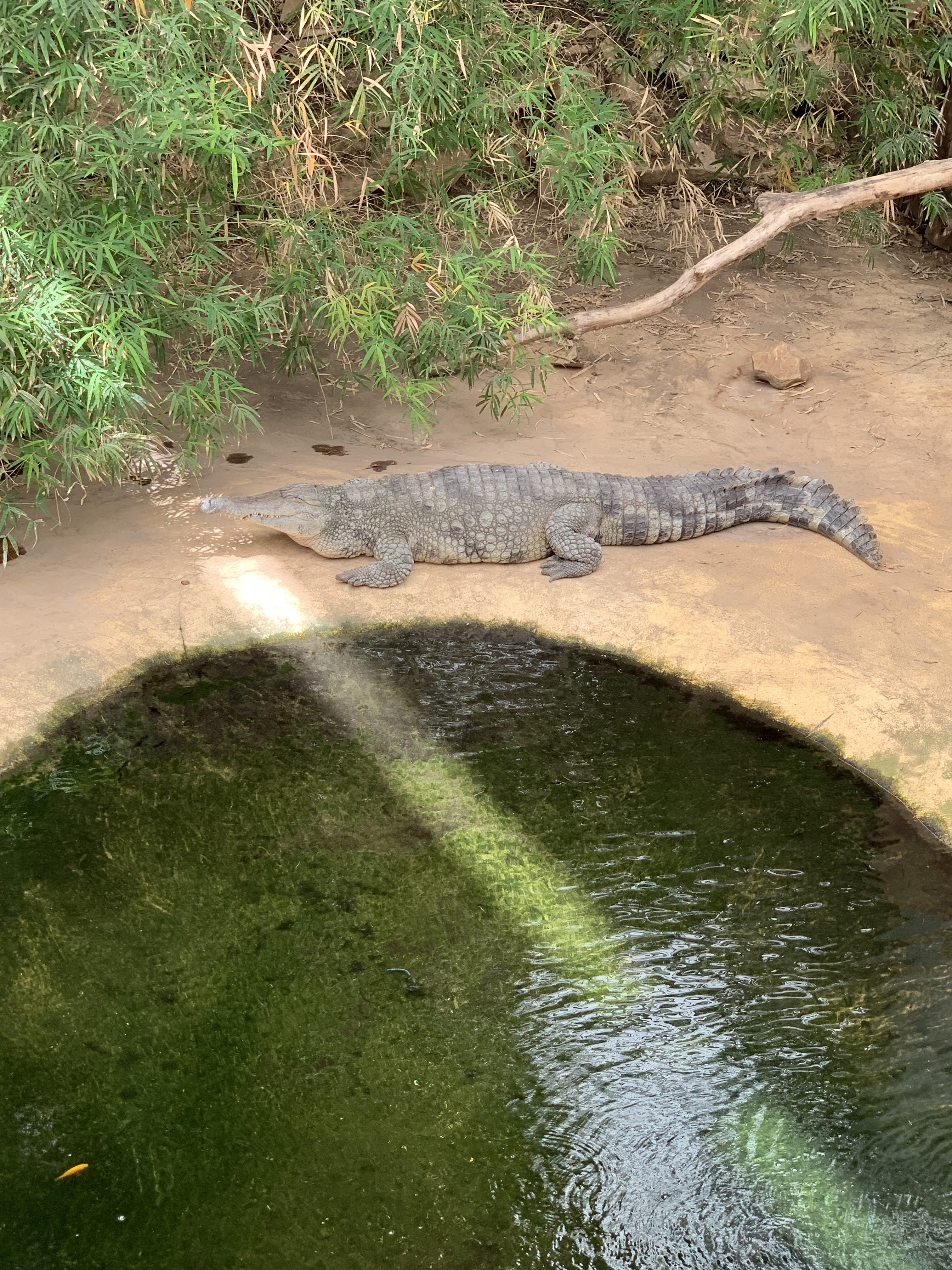Photo n° 21 de l'avis de Angie. fait le 15/05/2019 à 11:27