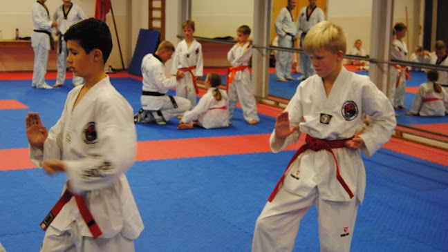 Fredericia Taekwondo Klub - Strib
