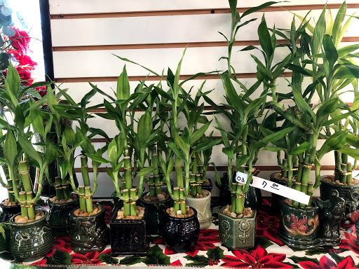 Florist «Gerties Flowers», reviews and photos, 806 Meacham Ave, Elmont, NY 11003, USA