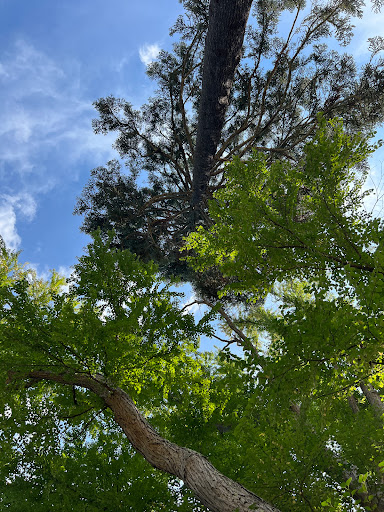 Park «Greycourt State Park», reviews and photos, 37 Pleasant St, Methuen, MA 01844, USA