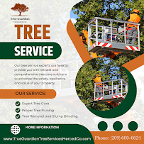 Tree Services Merced Ca