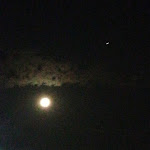 Photo n°2 de l'avis de Leonarda.r fait le 23/08/2021 à 19:03 sur le  Pizzeria Pic-Nic à Assisi