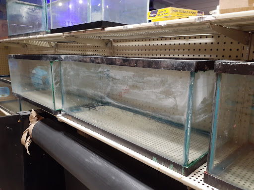 Pet Store «Forever Pets Inc», reviews and photos, 1030 Basse Rd, San Antonio, TX 78212, USA