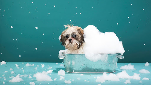 2211 Paul W Bryant Dr, Tuscaloosa, AL 35401, USA