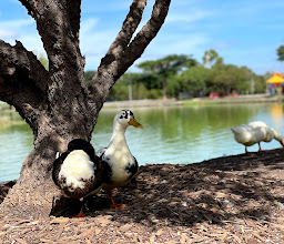 Alfalfares Park photo