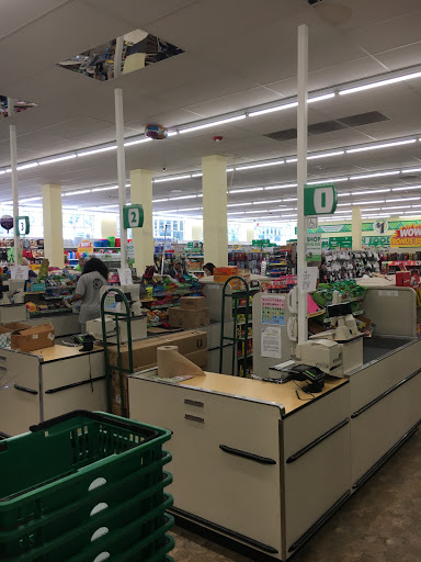 Dollar Store «Dollar Tree», reviews and photos, 152 Middle Neck Rd, Great Neck, NY 11021, USA