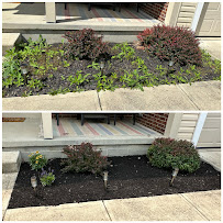 Natures Standard Landscaping - Photo 8 - Car repair in , Columbus