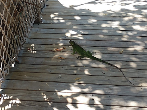 Aquarium «Florida Keys Aquarium Encounters», reviews and photos, 11710 Overseas Hwy, Marathon, FL 33050, USA