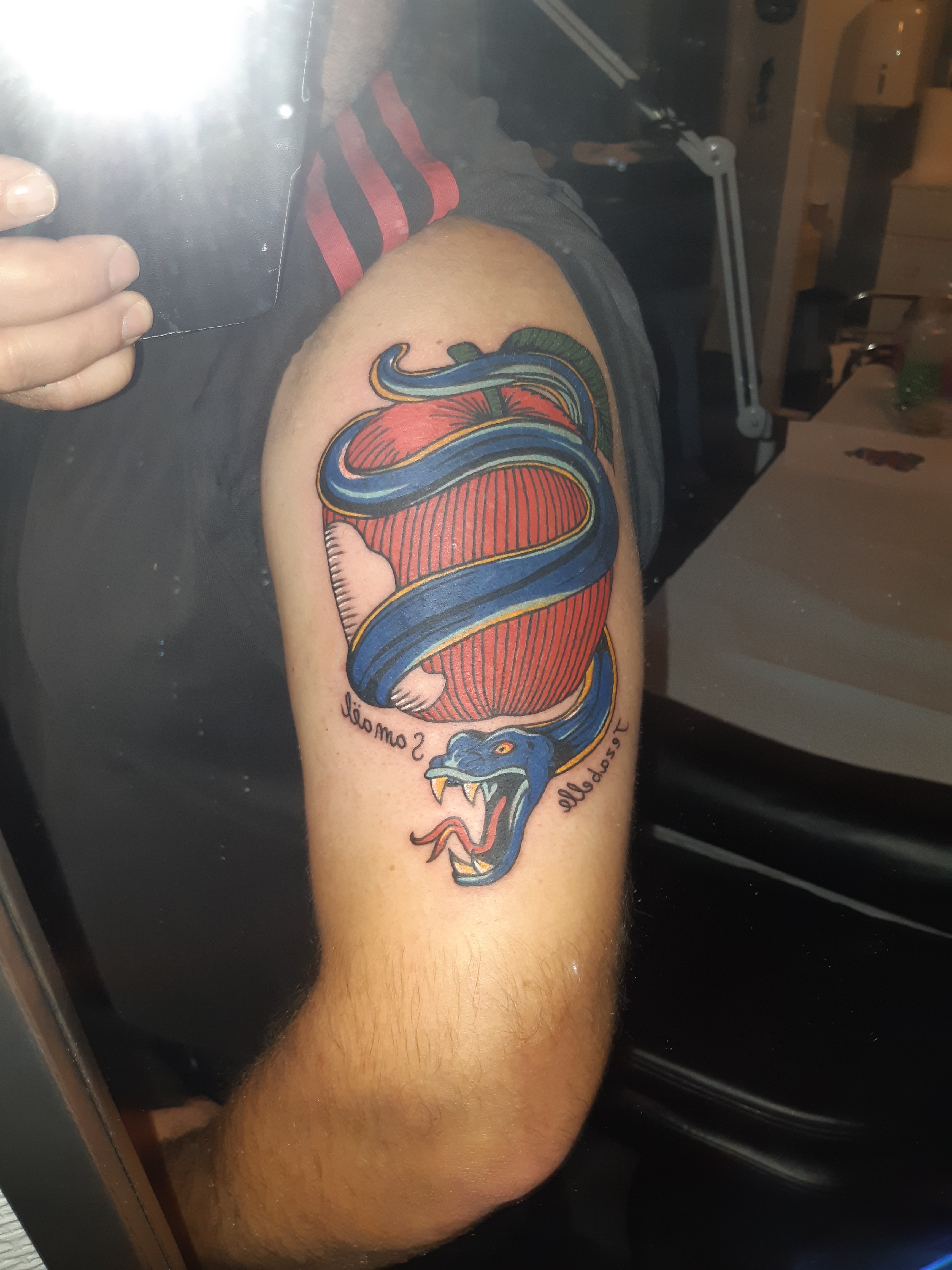 Photo n° 1 de l'avis de anthony.r fait le 21/03/2019 à 12:25