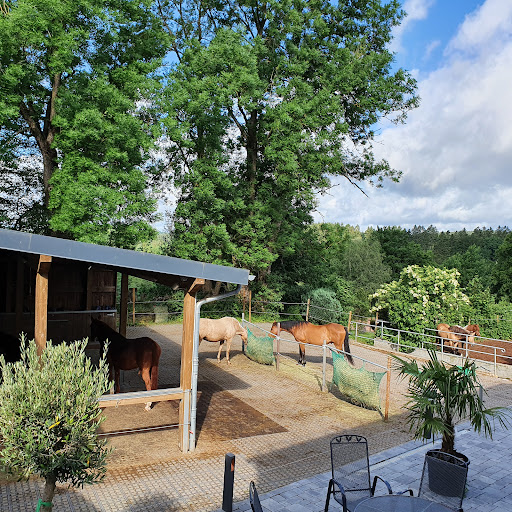 Huftherapie- Trainingszentrum Christoph Gehrmann unter Hellenthal, 