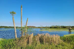Orlando Wetlands image