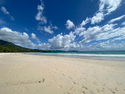 Grand Anse Beach'in fotoğrafı ve yerleşim