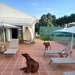 Photo n°6 de l'avis de Paula.r fait le 22/06/2021 à 13:28 sur le  Cerrado da Serra - Rural Home à Almargem do Bispo