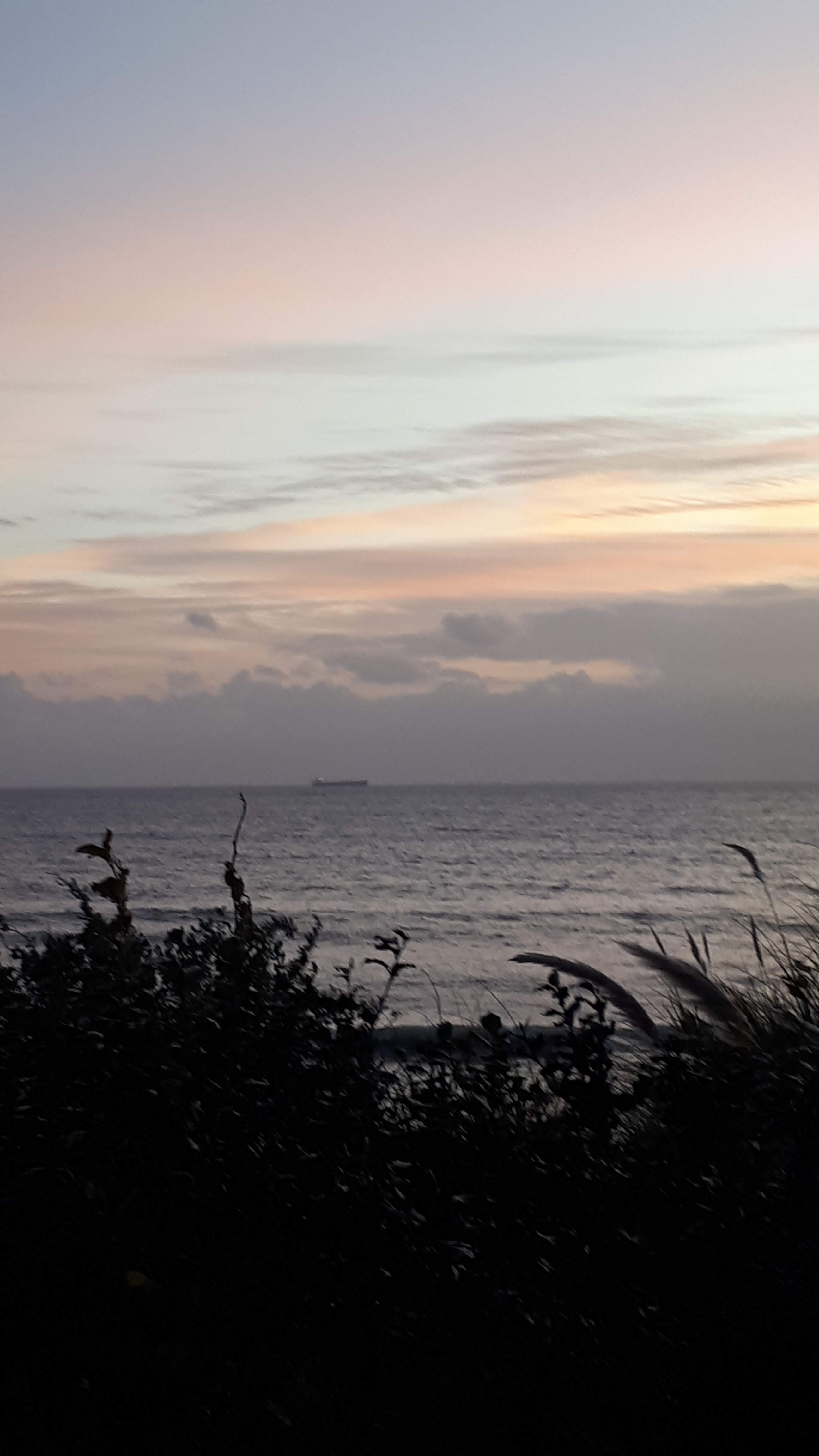 Photo n° 2 de l'avis de Delphine.e fait le 17/11/2019 à 20:02