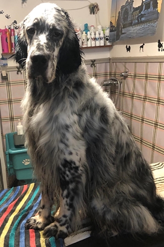 Szolnok, Sütő u. 9, 5000