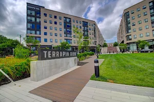 Terrapin Row Apartments image