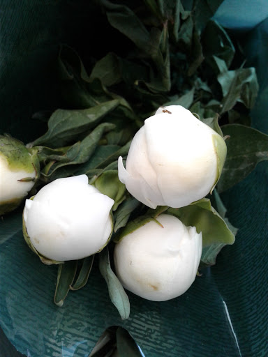 Florist «The Flower Place», reviews and photos, 860 NE 79th St, Miami, FL 33138, USA