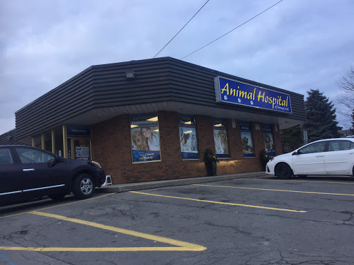 Animal Hospital Of Stoney Creek image