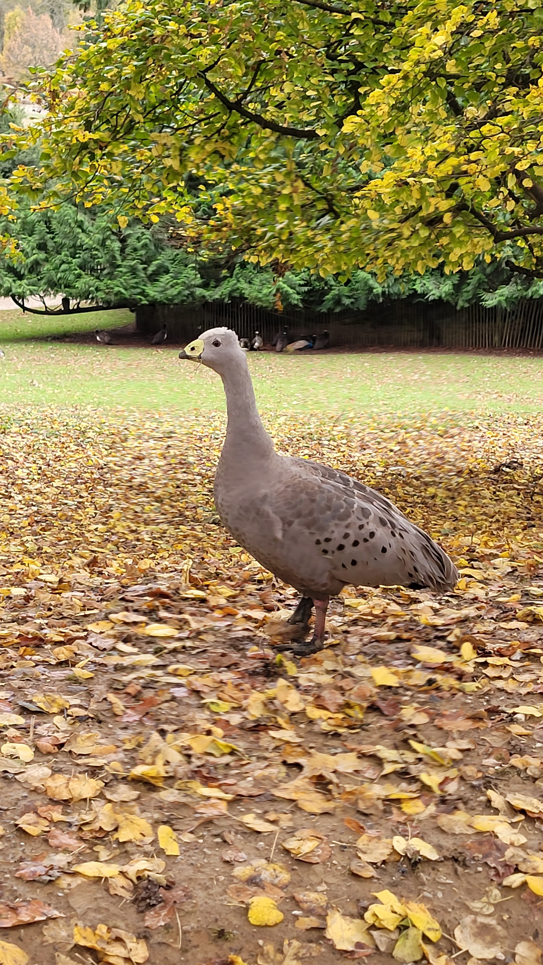 Photo n° 8 de l'avis de Sophie.a fait le 22/11/2023 à 15:36