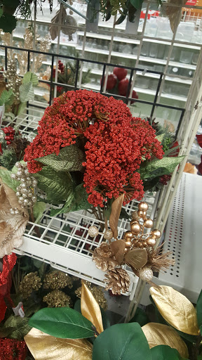 Craft Store «Michaels», reviews and photos, 540 Frandor Ave, Lansing, MI 48912, USA