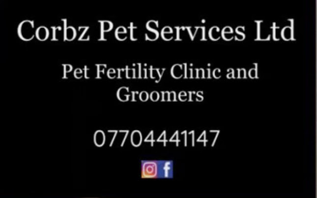 Corbz Pet Services - Dog trainer