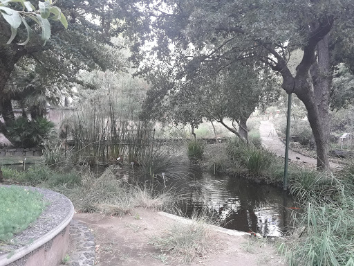 Orto Botanico di Catania