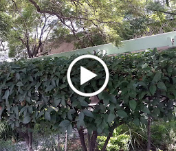 IMSS Family Medicine Unit 13 photo