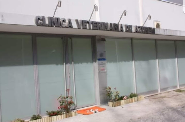 Avaliações doClínica Veterinária de Azurém em Guimarães - Veterinário